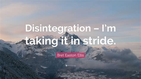 Bret Easton Ellis Quote: “Disintegration – I’m taking it in stride.”