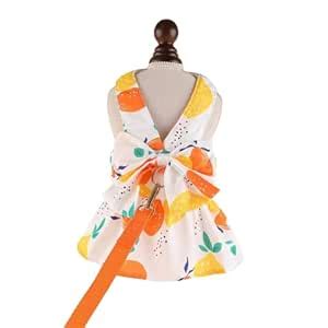 PETANGEL Small Dog Harness Dress and Leash Set Cute Bowknot Puppy Cat ...