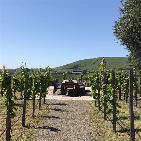 Ram's Gate Winery (Sonoma) - All You Need to Know BEFORE You Go