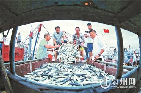 大型水库专业捕鱼团队 哪里需要捕捞淡水鱼的队伍 吉林