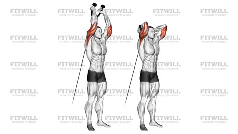 Cable Rope Overhead Triceps Extension: Exercise Guide, Video ...