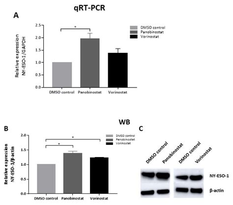 HDAC Inhibition for Optimized Cellular Immunotherapy of NY-ESO-1 ...