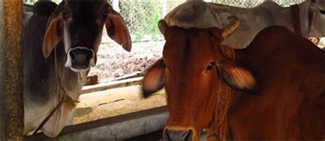 Health Services in Rajasthan, Important Hospitals in Rajasthan