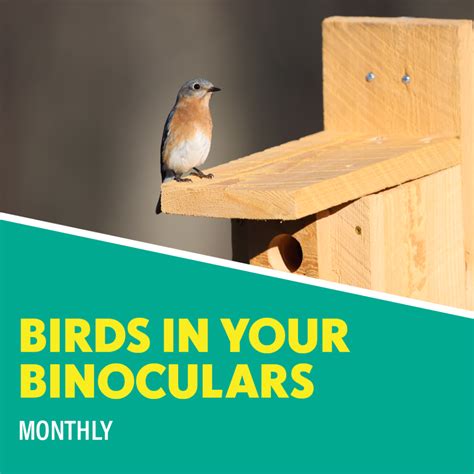 Lake Erie Metropark – Huron-Clinton Metroparks