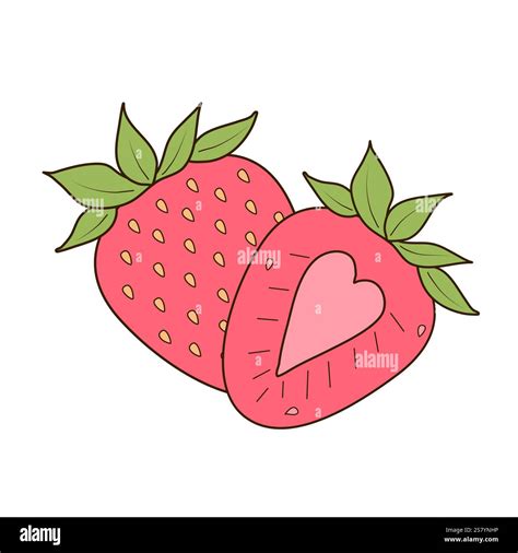 Composition summer berries on Stock Vector Images - Alamy