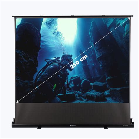 Zebronics PSF100B Projector Screen
