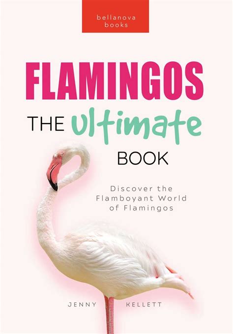 Image result for Flamingo 12 Book Design