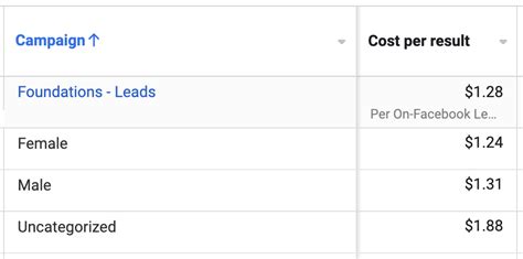 Meta Ads Manager Basics 的图像结果