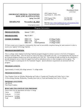 Fillable Online palmbeachstate NURSING APPLICATION - Palm Beach State ...