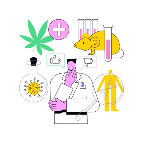 Image result for Bioethics Infographic