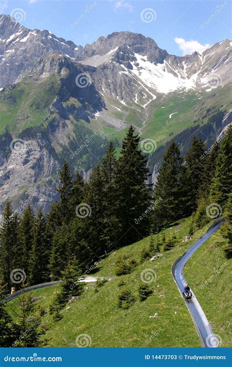 Image result for Alpine Slide