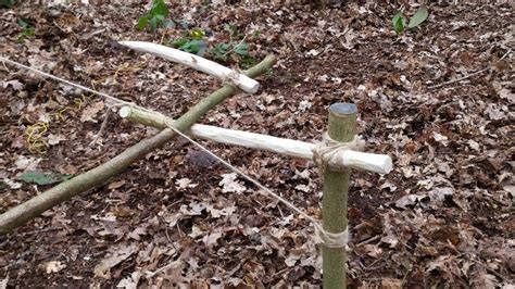 Primitive Spring Trap 的图像结果