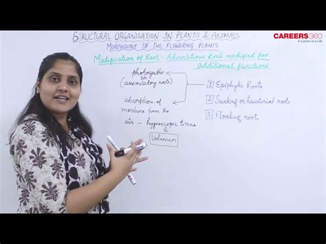 Image result for NEET Root Modification Questions