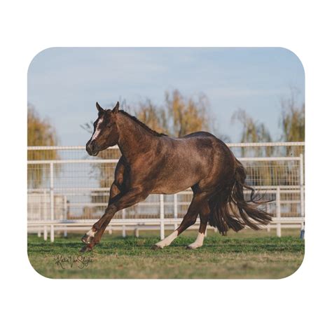 First Thingz First Mouse Pad by Katie Van Slyke™