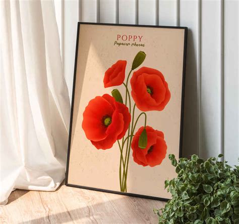 poppies flower poster
