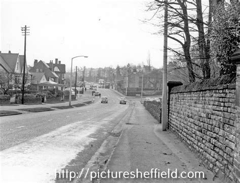 Searching Picture Sheffield