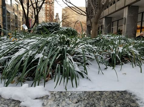 MAGNA LEGAL SERVICES (PHILADELPHIA) - Philadelphia PA - Hours ...