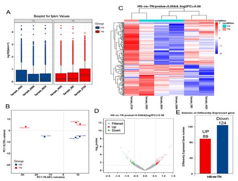 Transcriptome Functional Analysis of Mammary Gland of Cows in Heat ...