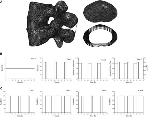 Finite-Element Simulation 的图像结果
