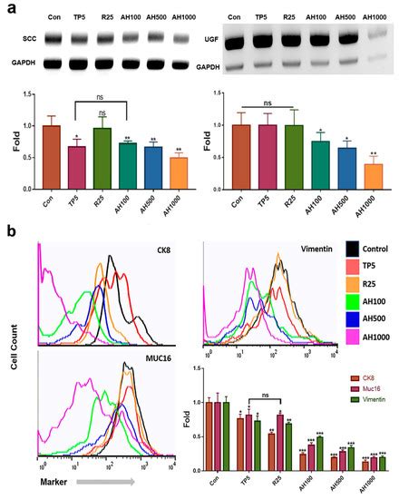 Effects of Induced Exosomes from Endometrial Cancer Cells on Tumor ...