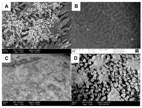 Distinct Particle Films Impacts on Olive Leaf Optical Properties and ...