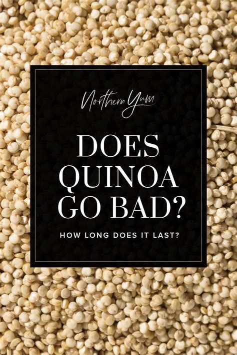 Does Quinoa Flour Go Bad at Lucy Sutcliffe blog