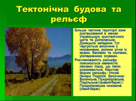 Презентация "Природа Украины" (8 класс) по географии – скачать проект