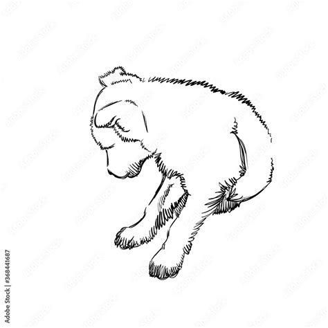 Image result for Small Dog Drawing