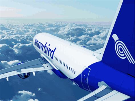 Image result for Roblox Avionic