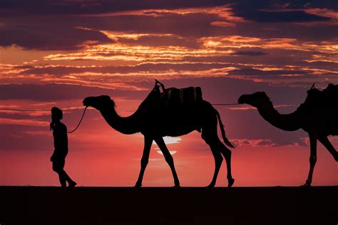 Who were the Magi? | Doncaster Evangelical Church