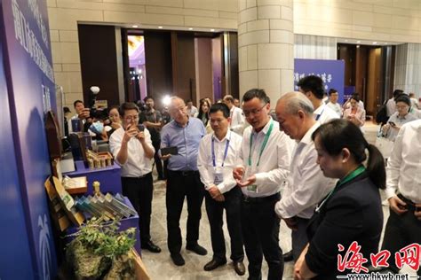 航拍海口秀英港新海港 “预约过海”畅通了春节返程路_海南频道_凤凰网