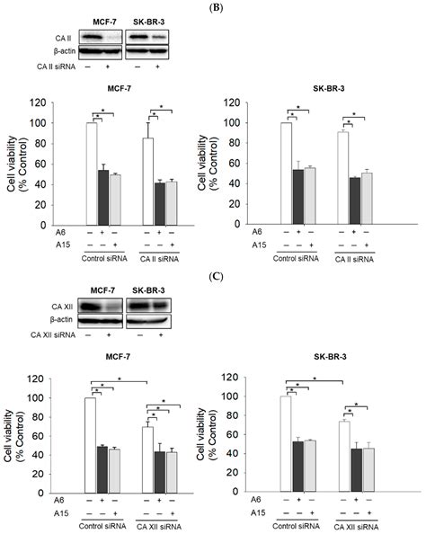 Suppression of Tumor Growth and Cell Migration by Indole-Based ...