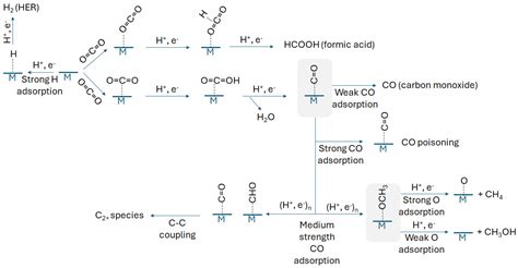 Metal–Support Interactions in Single-Atom Catalysts for Electrochemical ...