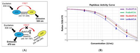 Practical Application of Novel Test Methods to Evaluate the Potency of ...