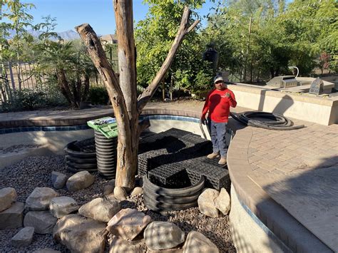 Using a Pool as a Pond 的图像结果