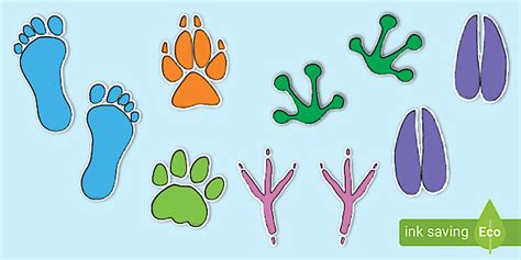 Animal Footprint Cut Outs