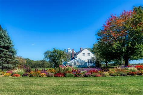 21 Kentucky Native Plants for Landscaping