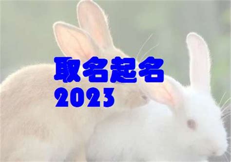 2023兔宝宝起名大全_兔宝宝名字大全_属兔男宝宝起名_属兔女宝宝取名 - 太极鱼起名测试网