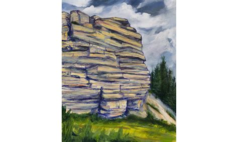 Bear Gulch Limestone Fossil Site, Montana - 30" x 24" — Emily Graslie