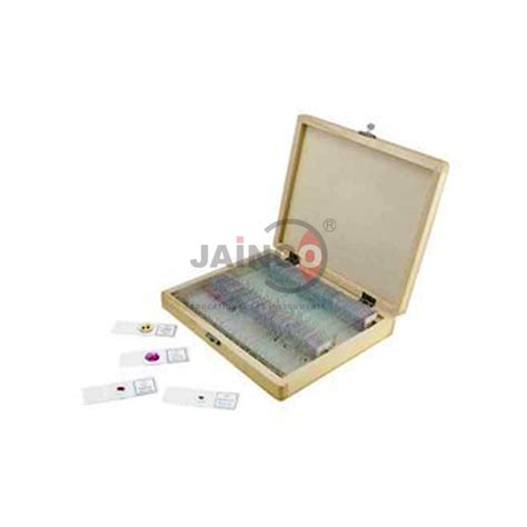 Human Histology Slide Set India, Human Histology Slide Set Manufacturer ...