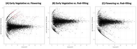 All Set before Flowering: A 16S Gene Amplicon-Based Analysis of the ...