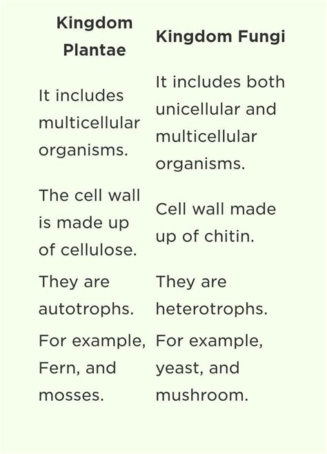 Define Kingdom Fungi. List any three difference between Kingdom Fungi ...