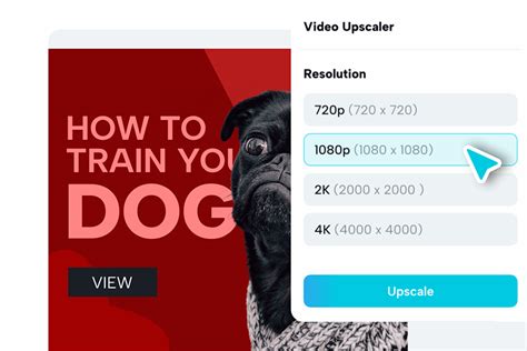 Image result for Python YouTube Thumbnail Maker