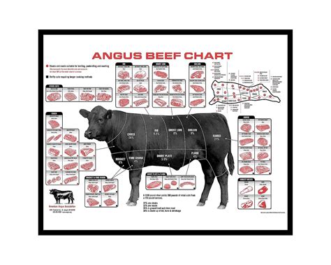 Iconic Arts Angus Beef Cuts Of Meat Chart Poster 18x24 - Walmart.com