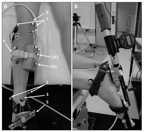 Acute Effects of Static and Proprioceptive Neuromuscular Facilitation ...