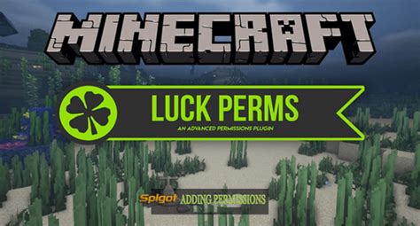 Image result for How to Give Permissions in Minecraft Java Realm
