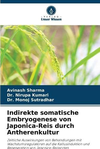 Buy Indirekte somatische Embryogenese von Japonica-Reis durch ...