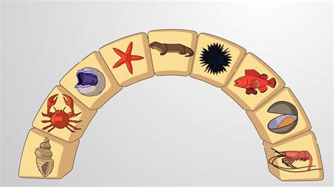 Video: Keystone Species