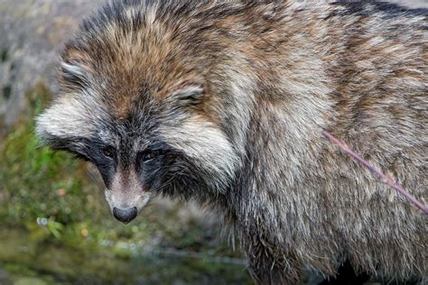 Compression Fracture Treatment, Causes, Symptoms, 42% OFF