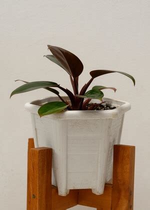 Image result for Automatic Watering System Using Arduino
